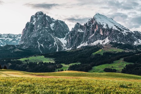 Panoramic view of the Langkofel Group from Seiser Alm in the Dolomites in South Tyrol, Italy,