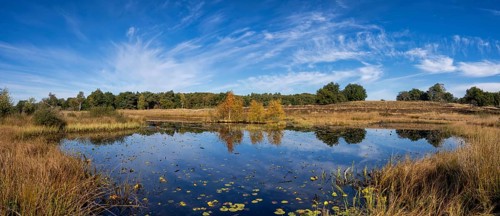 The Rolvennen is a beautiful lake in the Dutch National Park Meinweg close to the city Roermond in