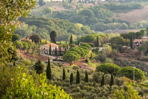 Typical Tuscan landscape with hills and cypresses in the very early morning near Montaione, Italy,