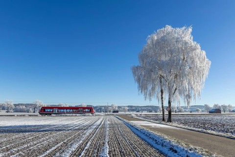 Red train travelling through snow-covered fields next to an icy tree under a clear sky, hoarfrost
