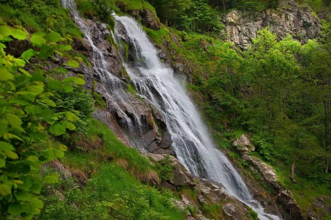 A waterfall flows powerfully over rocks in a dense, green forest, waterfall, Todtnau, Black Forest,