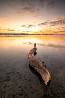 A tree trunk lying in the shallow water of a lake with a colourful sunset in the background,