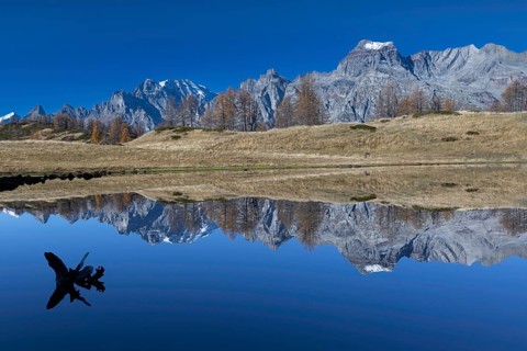 Mountains and a tree trunk are reflected in a calm lake under a clear blue sky, Pizzo Cornera 3083