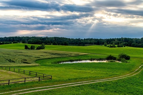 Landscape in Masuria in eastern Poland