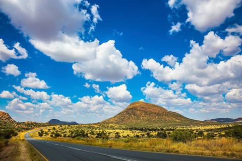 The asphalt road in Namibia in the savannah. Low trees and autumn yellow grass