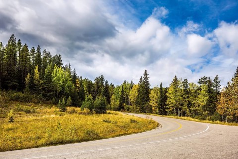 Perfect storm sunset over the Rocky Mountains. The road is among the gorgeous autumn forest