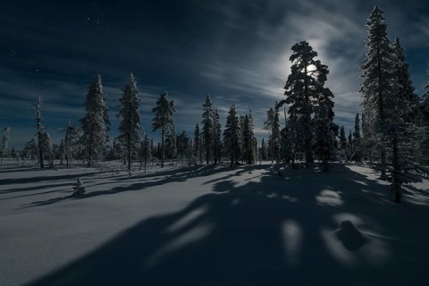 Moonlit winter landscape, Muddsus Nationalaprk, Laponia World Heritage Site, Lapland, Sweden,