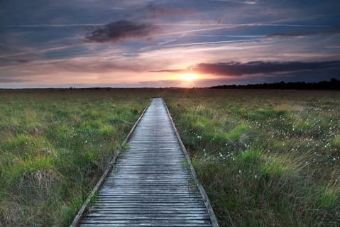 Wooden path on marsh and summer sunset