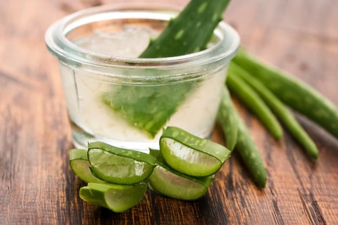 Aloe vera juice with fresh leaves