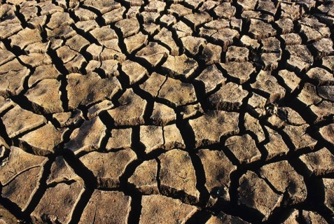 Cracked on earth, clay pattern, prismatic structures in soil, drought