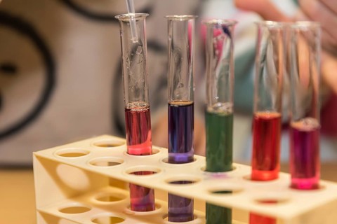 Chemical experiment at school with dye - acid and base reaction