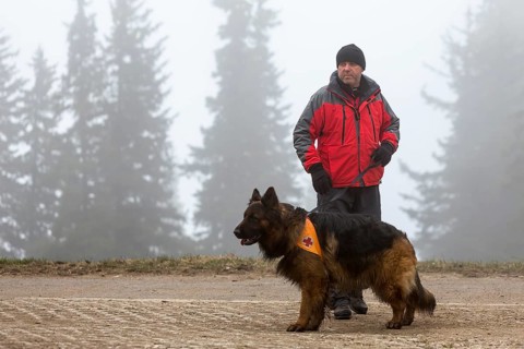 Sofia, Bulgaria - April 20, 2016: A man and his dog at the search and rescue team at Bulgarian Red