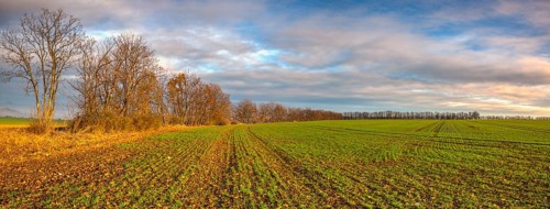 Autumn morning landscape over the city of Louny. Autumn sown field at amazing sunrise. Czech