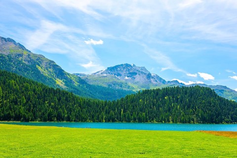 Beautiful Alpine Lake Silvaplana with Mountain View in the Swiss Alps in a Sunny Summer Day in