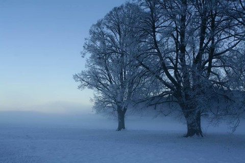 Winter scene.A landscape in Alps. Near Fuessen, Germany, Europe