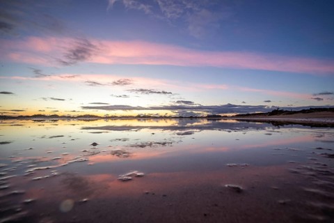 Puddle in a dune by the sea. Reflection of the sunrise in the morning. Bay and coast near