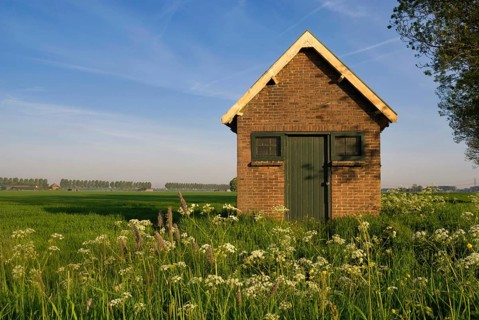 Shed in a wild flower covered landscape near the Dutch city Dordrecht in the province South Holland