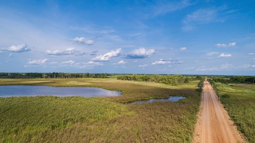 Aerial view of Transpantaneira dirt road along a typical lagoon and meadow landscape, with blue