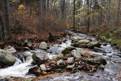 This ascent to Brocken begins in Ilsenburg and follows in Heinrich Heine's footsteps along the Ilse