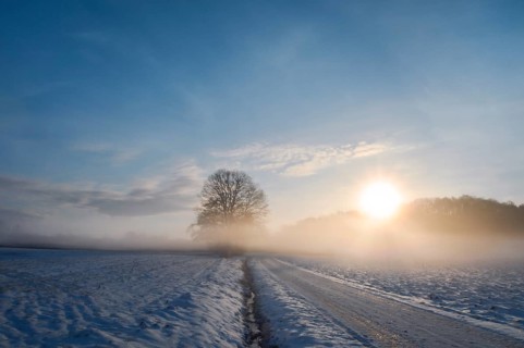 Winter landscape with a country road and agricultural fields covered in snow, at sunrise, on a
