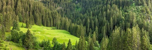 Abstract nature background