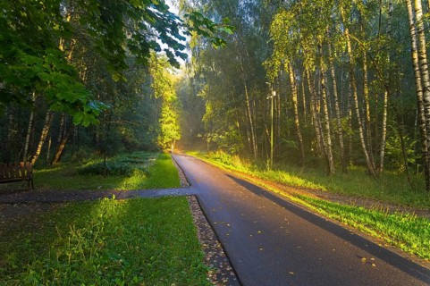 Moscow, Russia, August 28, 2020: People walk along a footpath in a forest park, beautifully lit by