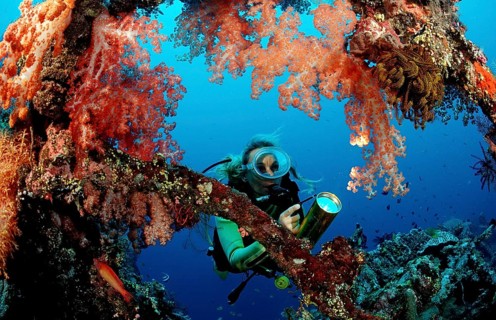 Diver examines Liberty shipwreck, Bali, Tulamben, Indian Ocean, Indonesia, Asia