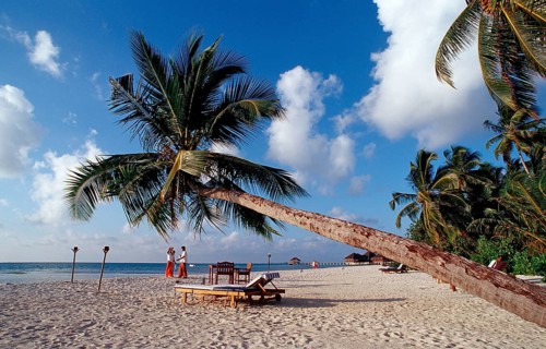 Beach on Maldives Island, Maldives, Indian Ocean, Medhufushi, Meemu Atoll, Asia