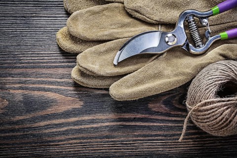 Safety gloves hank of rope secateurs on vintage wooden board gardening concept