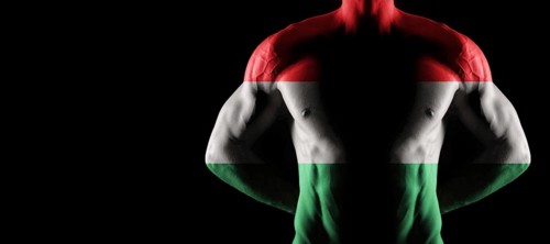Hungary flag on muscled male torso with abs, black background
