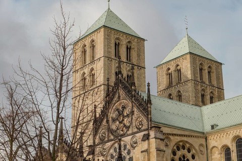 Two gothic towers of the cathedral rise behind a leafless tree under a cloudy sky, Münster,