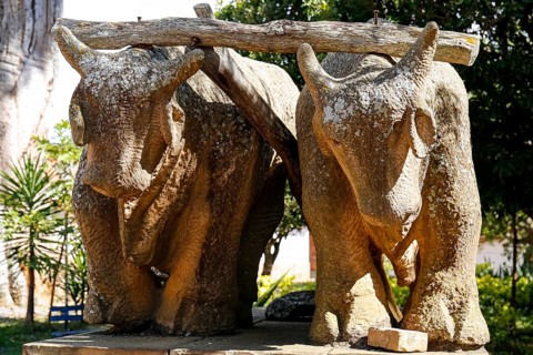 Close-up of a stone sculpture with two draught oxen under yoke in light and shadow, Barichara,