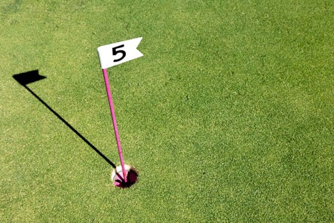 Hole marked with small flag at the mini golf area. Number flag on a mini golf course