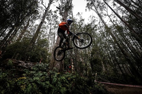 MAYDENA, AUSTRALIA, FEBRUARY 23: Riders during seeding in Red Bull Hardline Tasmania on February