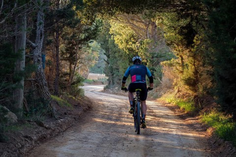 Mountain biker on the greenway Sant Francesc-La Mola, Formentera, Pitiusas Islands, Balearic