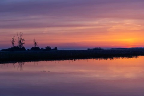 Biebrza National Park, sunrise, morning mood, wetland, river, Poland, Europe