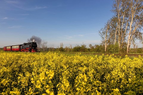 Selketal railway between Quedlinburg and Gernrode