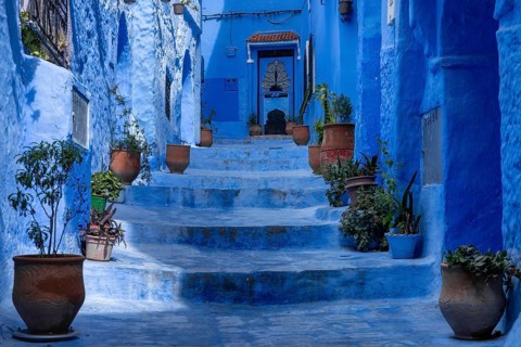 Chefchaouen, Morocco, 2 March, 2024: stairs with potted plants lead up to a house door in the blue