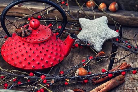 Red iron kettle custard, cinnamon and hazelnut with branches with red berries