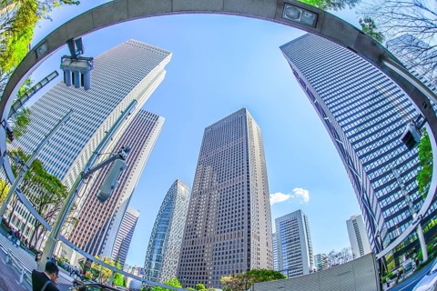 Fresh green of Shinjuku. Shooting Location: Tokyo metropolitan area