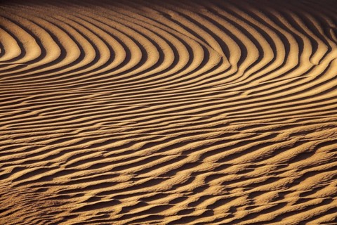 Beautiful sand dune pattern background in wind, Sahara desert