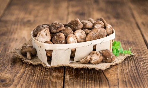 Raw Shiitake mushrooms as high detailed close-up shot on a vintage wooden table, selective focus
