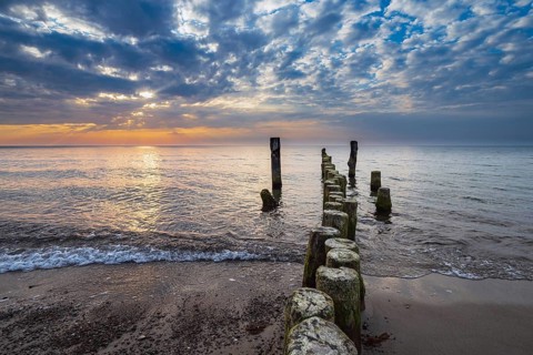 Groynes on the coast of the Baltic Sea near Graal Müritz