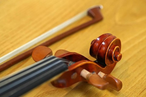 Violin and violin bow