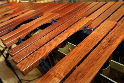 Xylophone