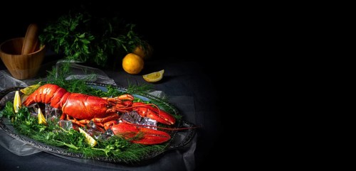 The cooked lobster on ice