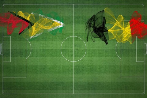 Guyana vs Belgium Soccer Match, national colors, national flags, soccer field, football game,