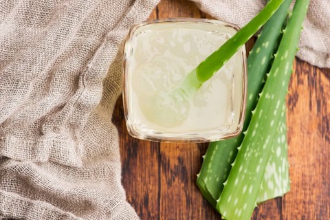 Glassware with fresh aloe vera juice and leaves