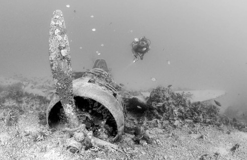 Nakajima B5N2 Kate torpedo bomber and diver, Papua New Guinea, New Ireland, Kavieng, Oceania