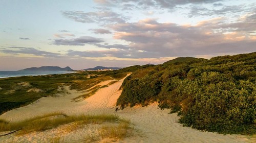 Florianópolis, Campeche beach during sunrise. Brazil. Rio Tavares neighborhood